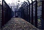 HOLOCAUST PHOTOS: Auschwitz - Birkenau. Shoah. Holocaust. Death Camp