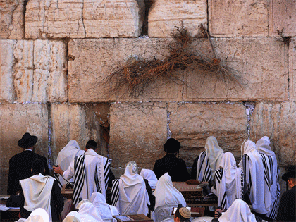 THE WESTERN WALL, THE KOTEL, JERUSALEM, ISRAEL  הכותל המערבי, ירושלים, ישראל