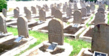 JEWISH CEMETERY MAURITIUS   בית הקברות היהודי במאוריציוס