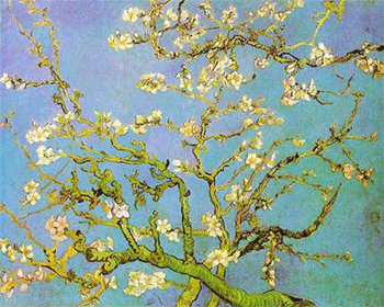 Branches of an Almond Tree in Bloom 1890, Oil on Canvas, Rijksmuseum, Vincent Van Gogh
